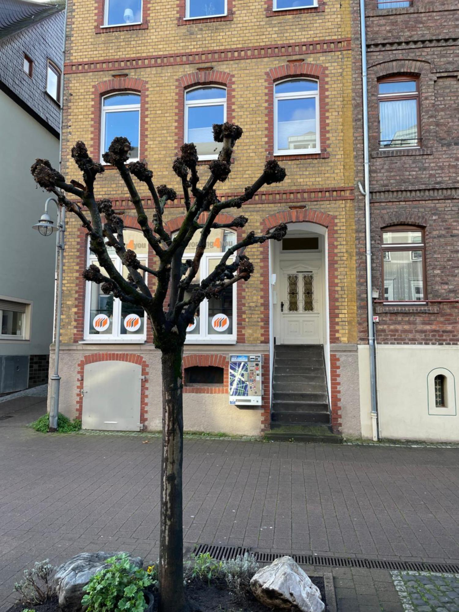 Good Times In St. Goar Leilighet Sankt Goar Eksteriør bilde